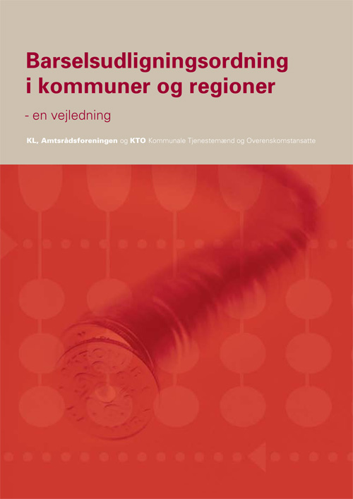 Barseludligningsordning-i-kommuner-og-regioner---en-vejledning---februar-2006