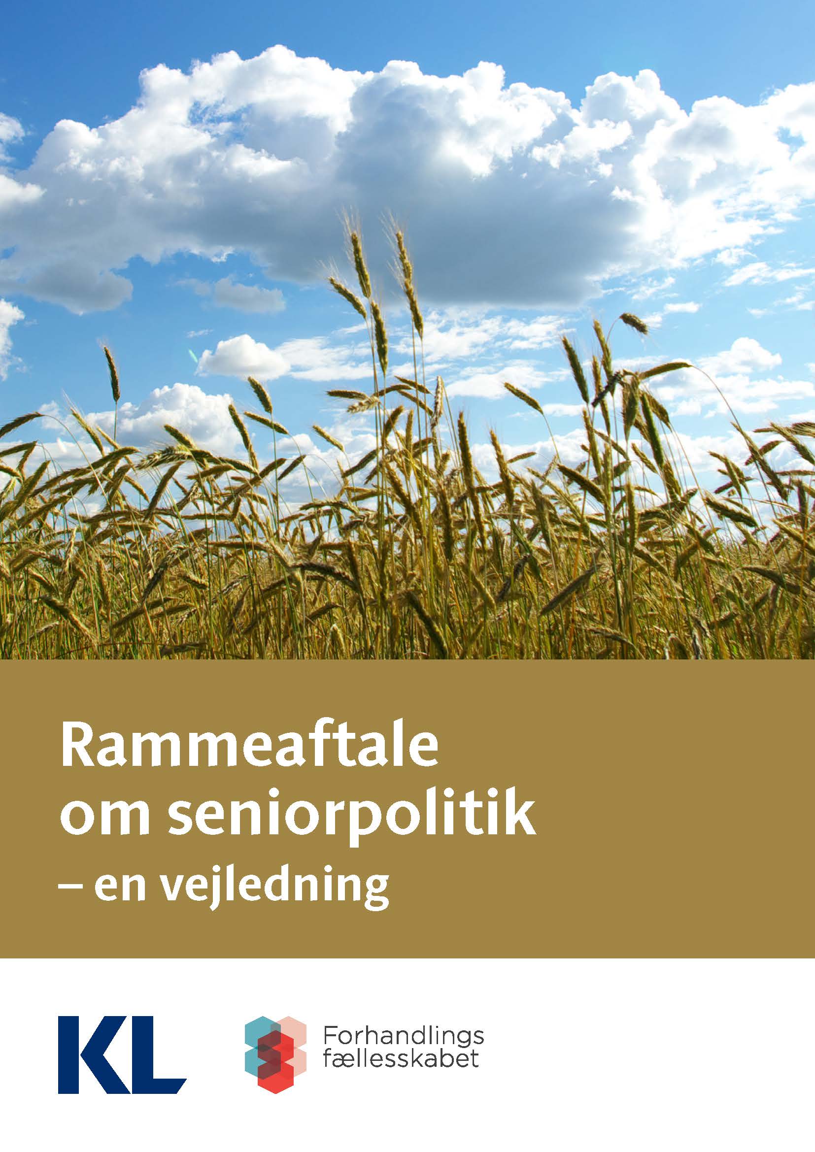 21-0096-117-rammeaftale-om-senolitik-en-vejledning-forside-1