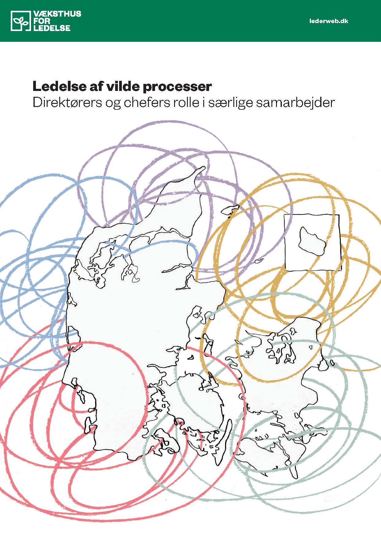 201-298-publikation-vilde-processer