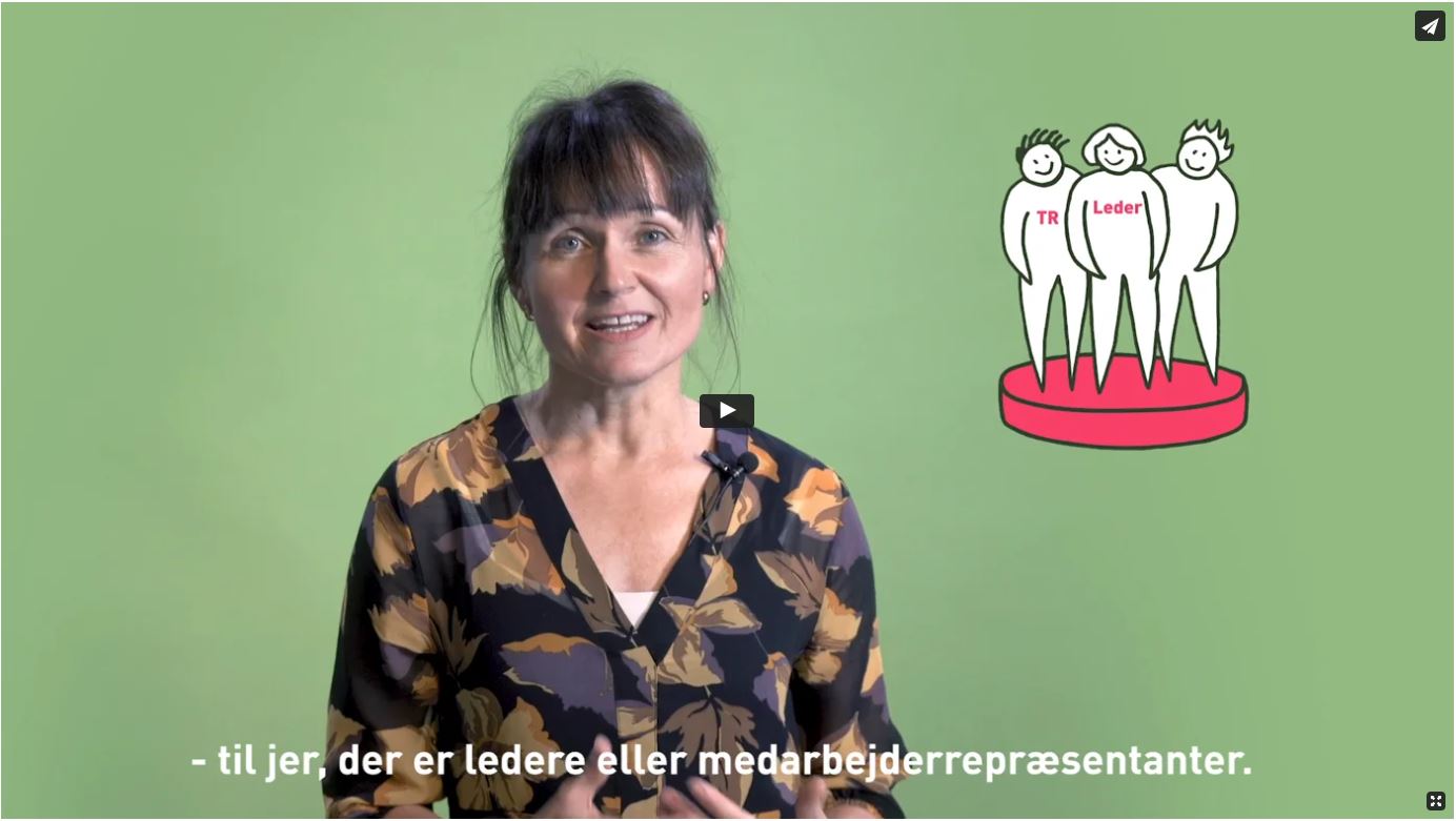 Se video 1: Involverende processer