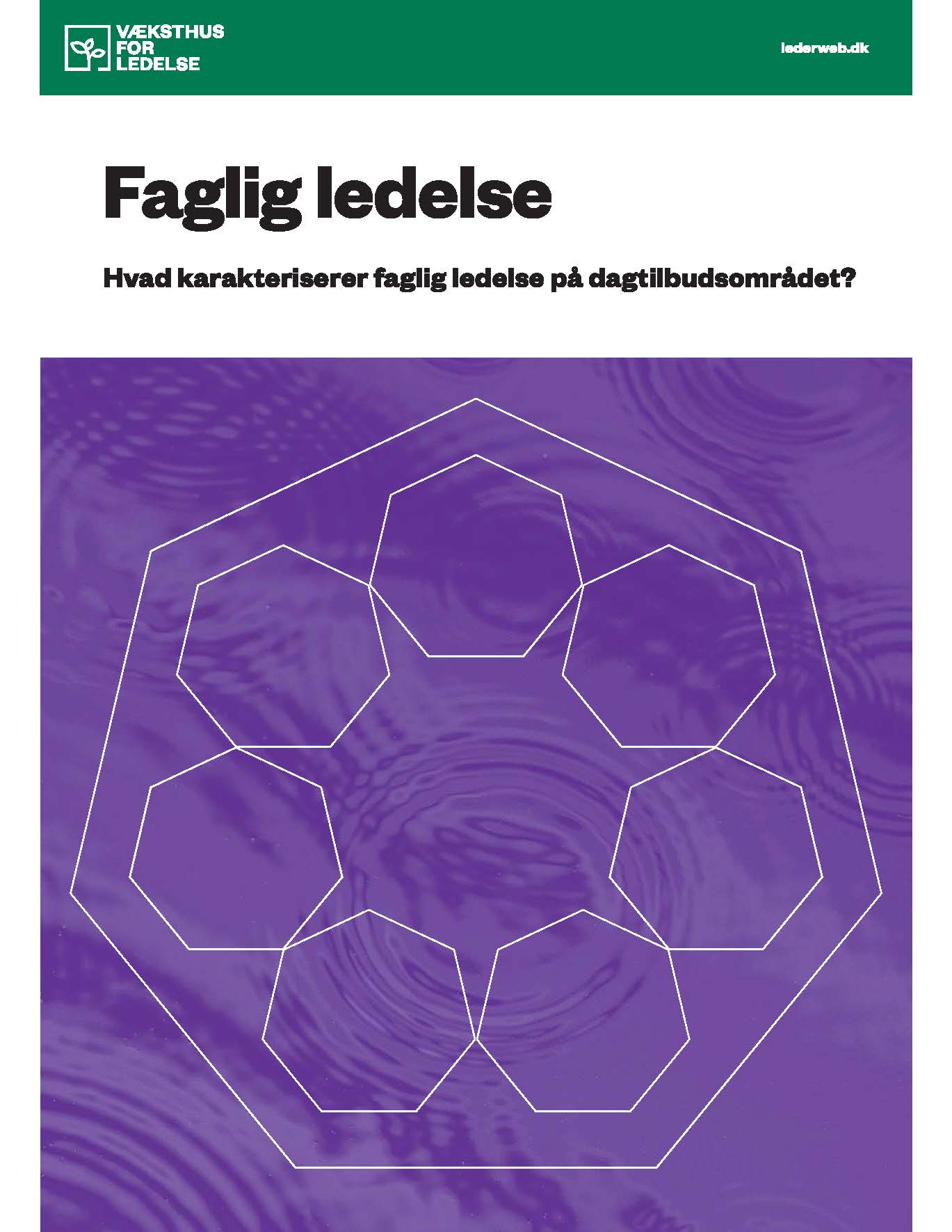 faglig-ledelse_forside